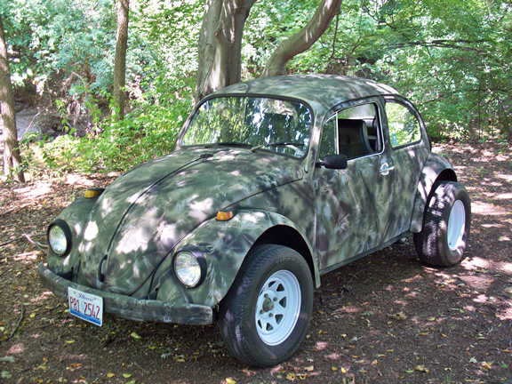 69 Camouflage Beetle in the woods